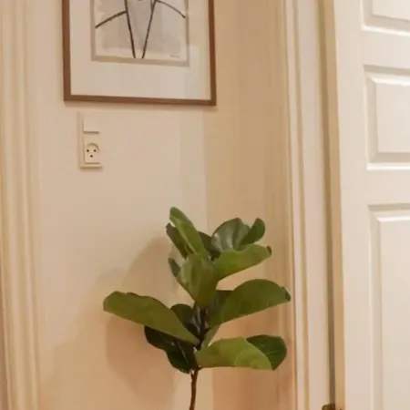 Luxurious Cph Flat A Location Apartment Copenhagen